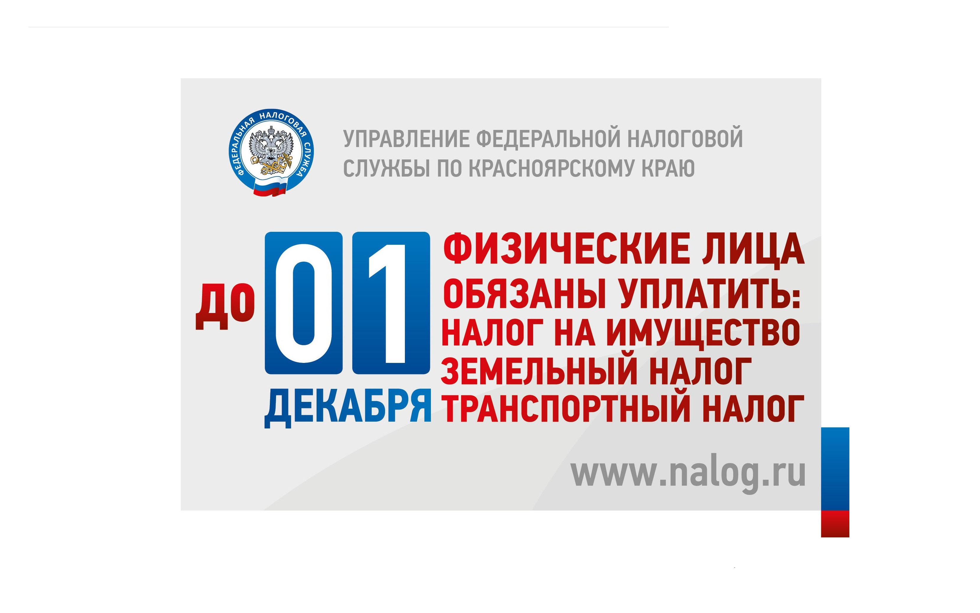 Уплата имущественных налогов в 2024 году.