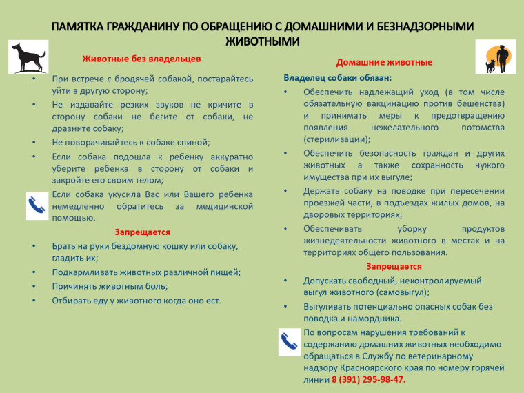 По обращению с домашними и безнадзорными животными.