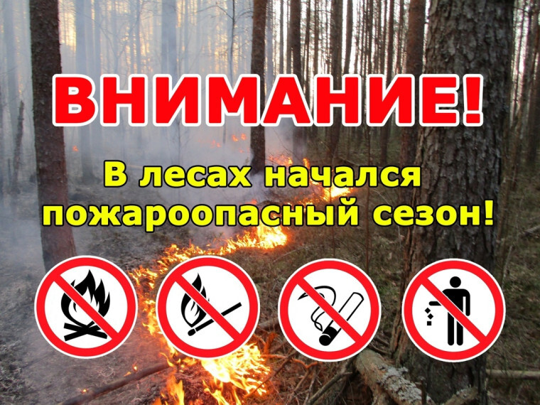 Пожароопасный сезон. Пожароопасный сезон.