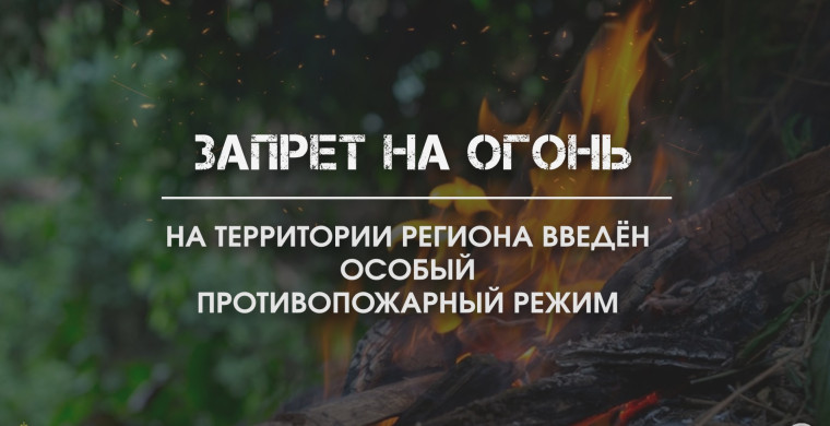 Особый противопожарный период. Особый противопожарный период.